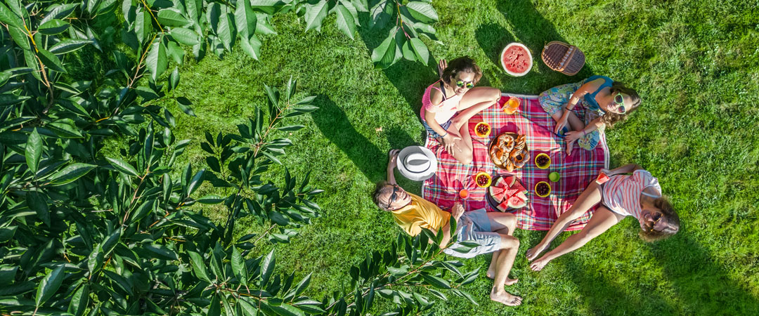 Akdeniz Beslenme Modeli - Piknik yapan aile